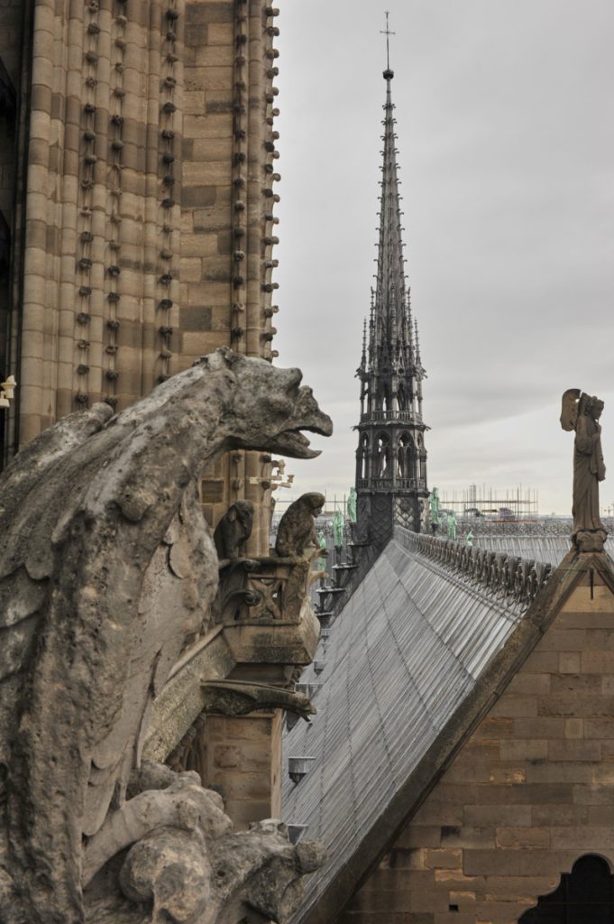 Notre Dame Gargoyle